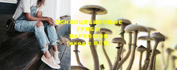 наркотики Богданович