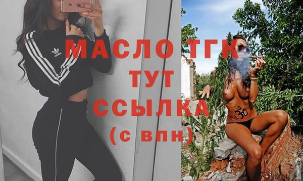 дмт Богородицк
