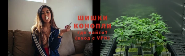 СК Богородск