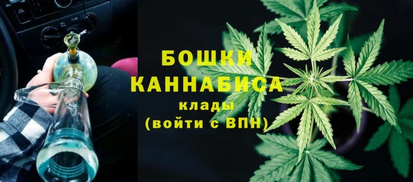 СК Богородск