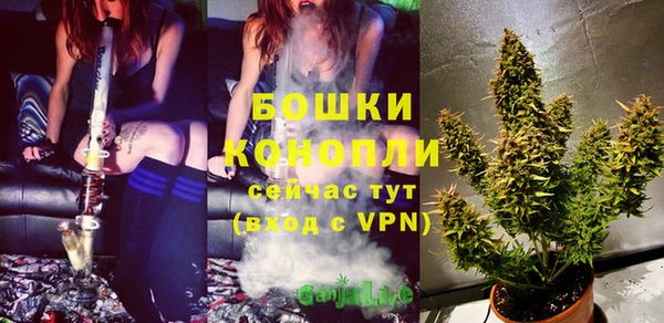 дмт Богородицк
