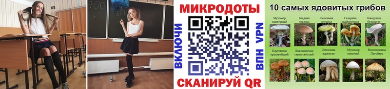 купить закладку  Среднеуральск  Галлюциногенные грибы Psilocybe 